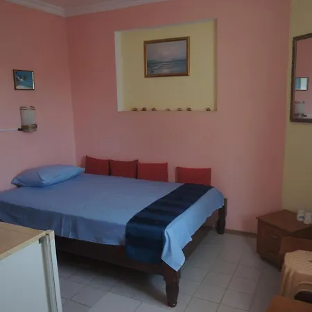 招待所 Lenny 克兰内沃